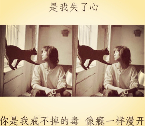 情绪不好的说说