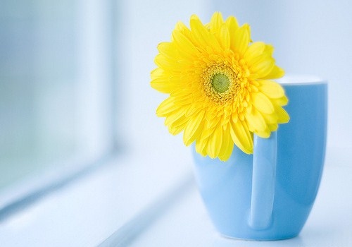 早上起床发个心情说说