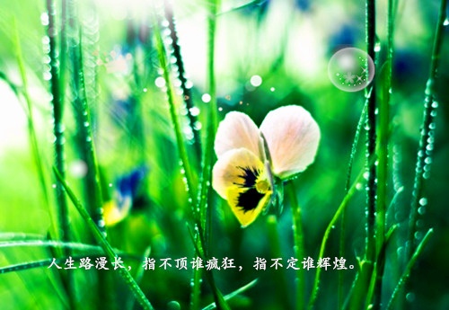 让人心酸想哭的说说