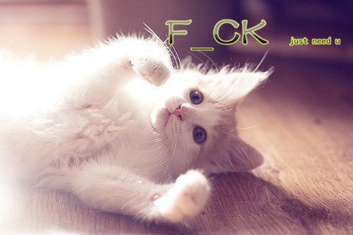 2021年朋友圈幽默说说