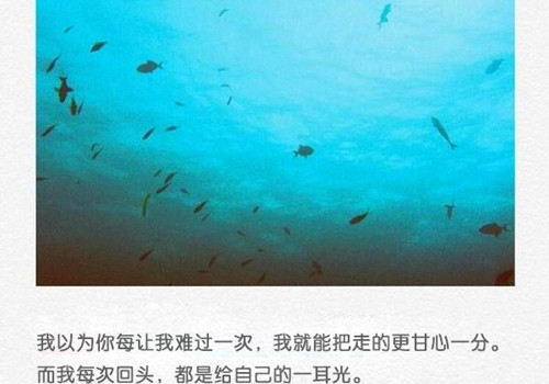 男人最落魄的说说