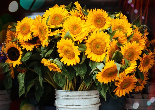 施工现场安全警示标语