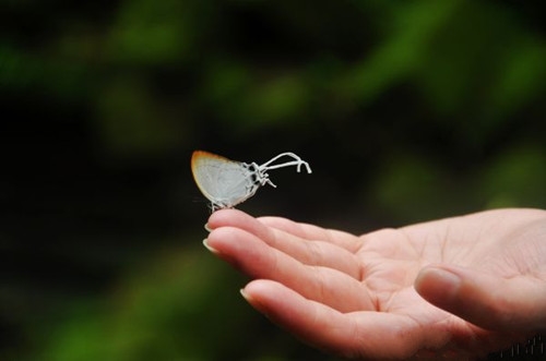 心情不好发朋友圈的伤感说说 