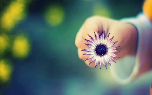 看开看淡一切顺其自然的说说