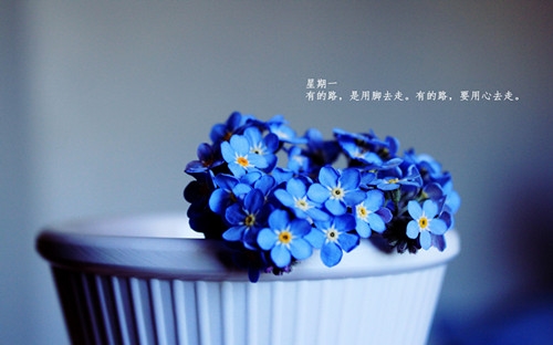 人生好像按了加速键说说(精选60句) 人生好像按了加速键说说(精选60句)