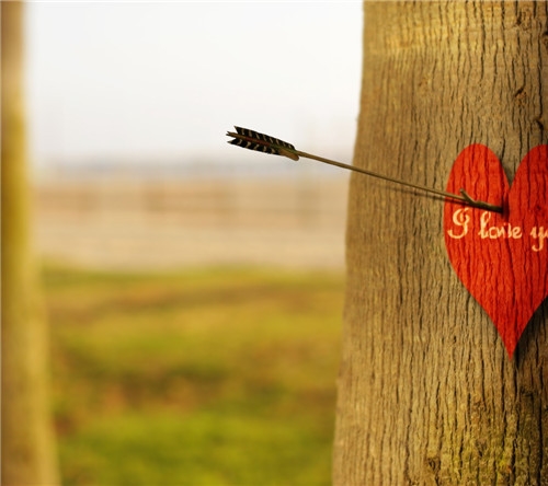 生活中的小确幸唯美句子(精选51句) 生活中的小确幸唯美句子(精选51句)