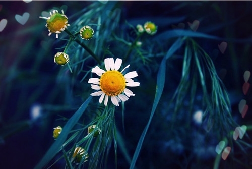 生活需要仪式感的说说(精选55句) 生活需要仪式感的说说(精选55句)