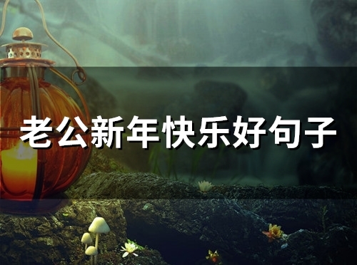 老公新年快乐好句子(精选92句) 老公新年快乐好句子(精选92句)