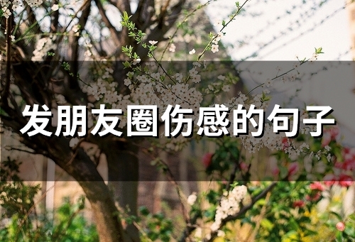 发朋友圈伤感的句子(54句)