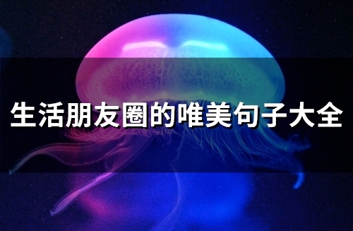 生活朋友圈的唯美句子大全(87句)