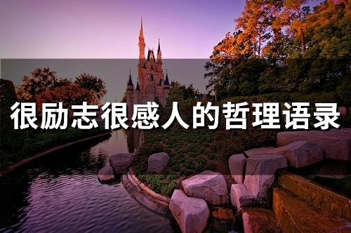 很励志很感人的哲理语录(精选62句)