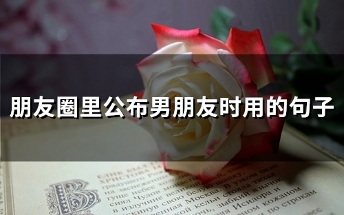 朋友圈里公布男朋友时用的句子(精选70句)