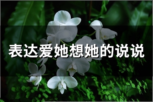 表达爱她想她的说说(精选67句)