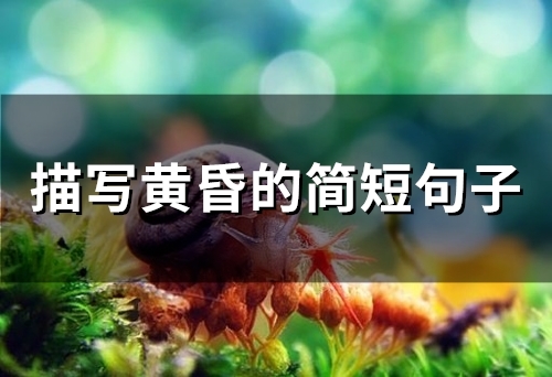 描写黄昏的简短句子(56句)