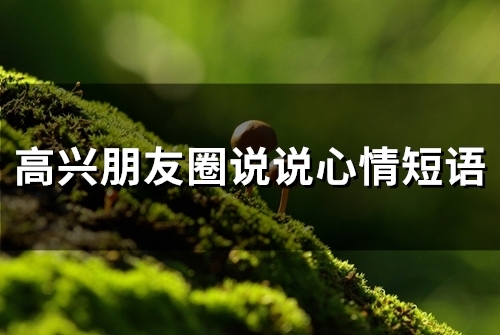高兴朋友圈说说心情短语(66句) 高兴朋友圈说说心情短语(66句)