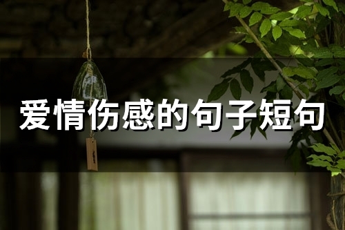 爱情伤感的句子短句(精选66句)