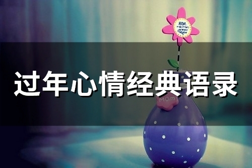 过年心情经典语录(精选65句)