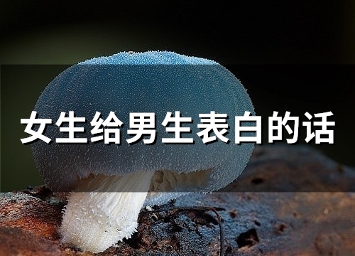 女生给男生表白的话(72句)