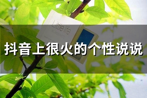 抖音上很火的个性说说(66句)