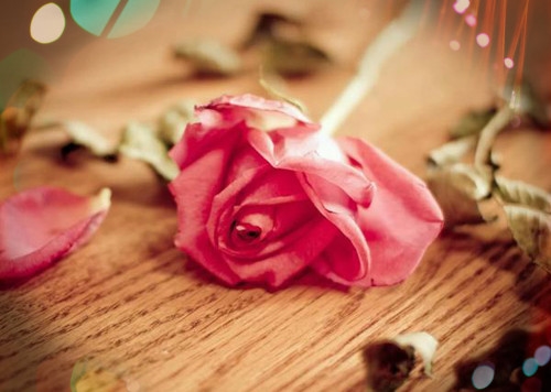 早安语录话俏皮说说(70句)