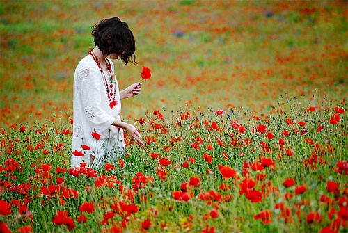 诗意深奥的朋友圈说说短句(67句) 诗意深奥的朋友圈说说短句(67句)