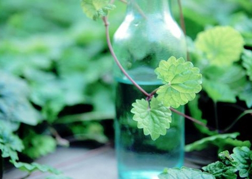 转眼间心碎的句子(共23句) 转眼间心碎的句子(共23句)