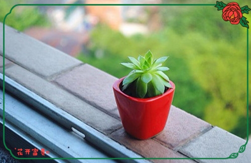 适合光棍节发朋友圈的表白说说(必备22句) 适合光棍节发朋友圈的表白说说(必备22句)