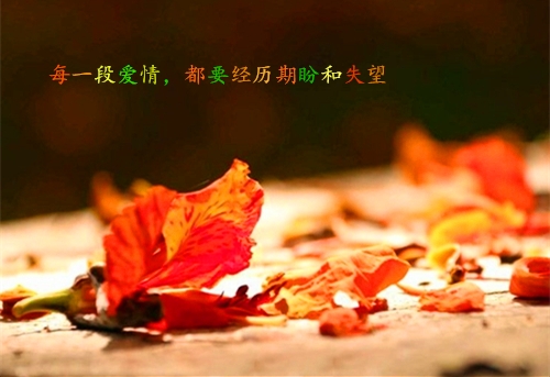 幼儿园开学家长发朋友圈的句子(推荐32句)
