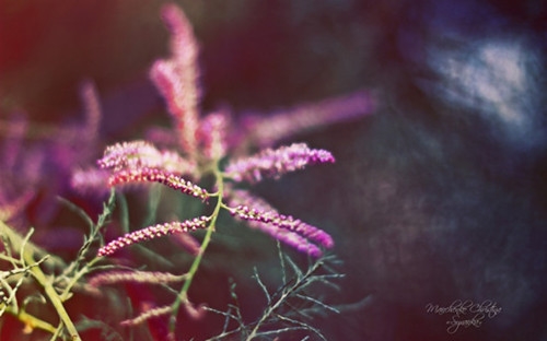 今夜无眠心情说说(推荐76句)