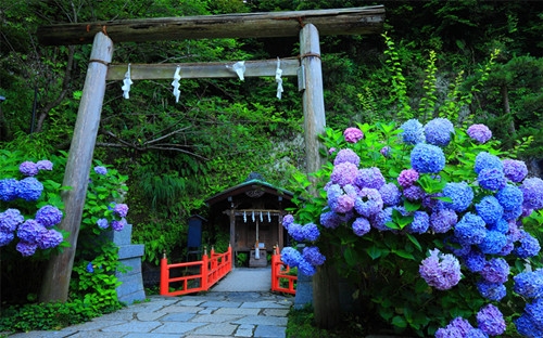 童心童趣的优美句子(精选81句)