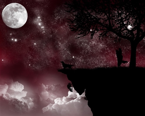 烟花再美也只是瞬间说说(实用80句) 烟花再美也只是瞬间说说(实用80句)