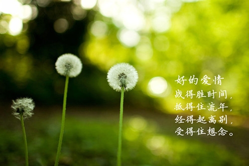 幸福甜美的句子的说说(优选42句)