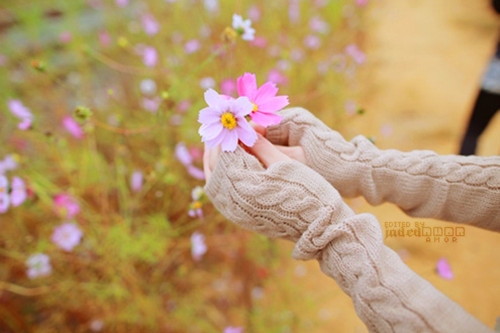 小棉袄2岁生日快乐话语(共80句) 小棉袄2岁生日快乐话语(共80句)