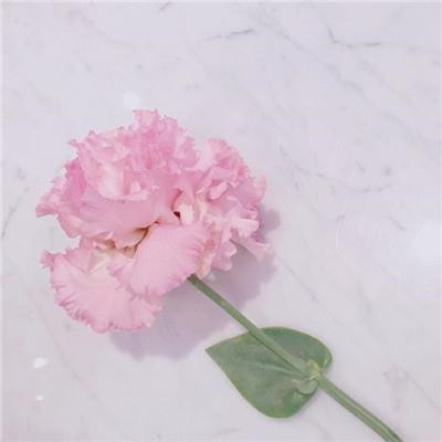 2023给女人带来好运的头像(精选50张)