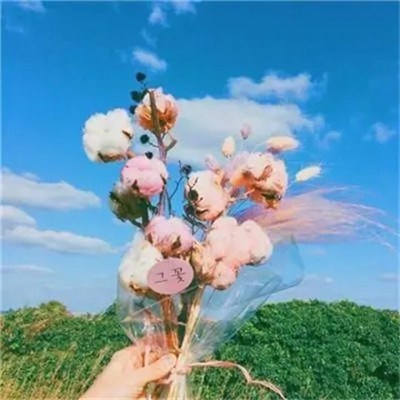 2023给女人带来好运的头像(精选50张)