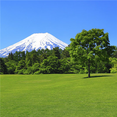 能聚财的微信山水头像(28张)