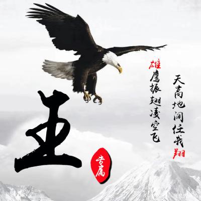 2023王姓最火头像(精选48张)