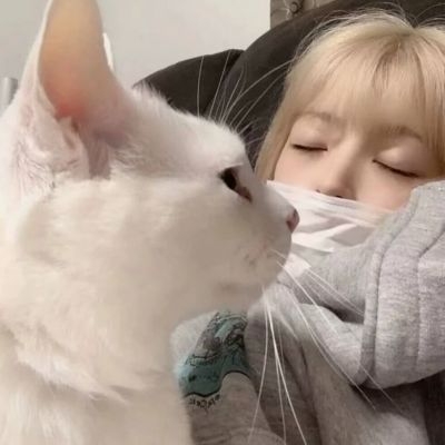 最潮最火2023韩系女生可爱头像(42张)