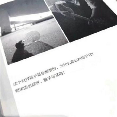 2023带字最红头像(24张)