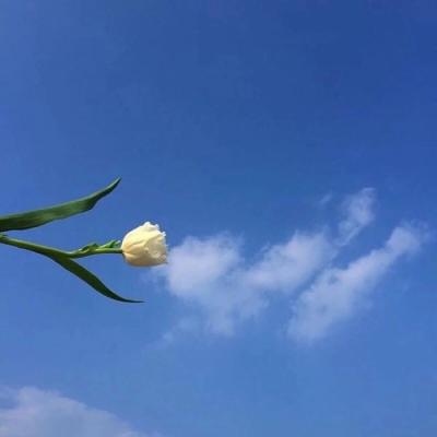 空间意境美超好看的微信头像(精选48张)