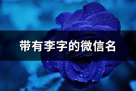 带有李字的微信名(共132个)