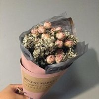 抖音头像图片2023新款花草(优选28张)