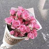抖音头像图片2023新款花草(优选28张)