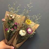 抖音头像图片2023新款花草(优选28张)