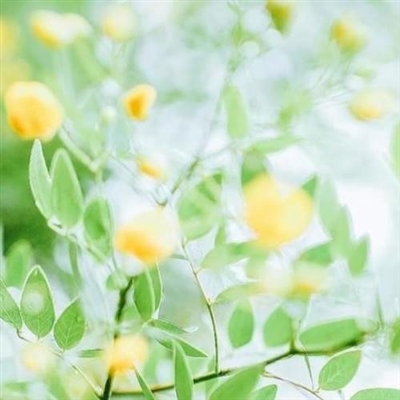 30-40岁微信头像(共24张)