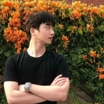 隐藏的情侣头像不容易看出来高清(优选22张)