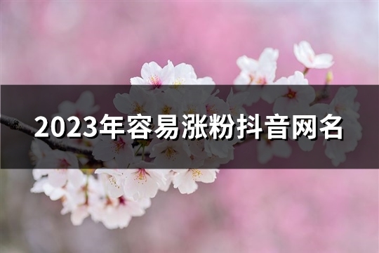 2023年容易涨粉抖音网名(801个)