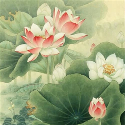 值得长期使用的头像(精选22张)