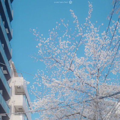 绝美的风景头像唯美风景图片(共22张)