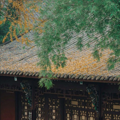 适合老年人使用的微信头像图片(优选20张)